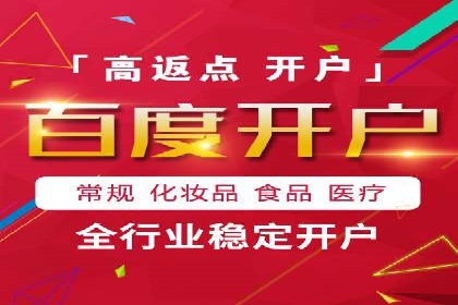 SEM服务公司助力品牌崛起案例
